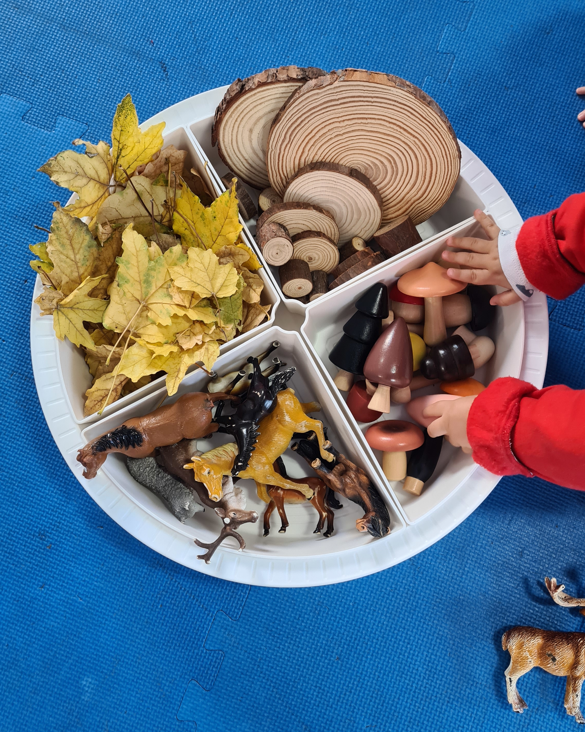 El periodo de matriculación para el curso 2026/2027 comenzará pronto El periodo de matriculación para el curso 2026/2027 comenzará pronto